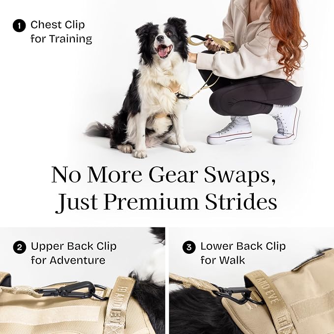 Fei & Eve Classic Dog Harness, MagEase Magnetic Buckle | 3-Point No-Pull Control, Dual Handle Support, 900D Nylon, Tactical Patch Panel, Heavy Duty, Small, Champagne