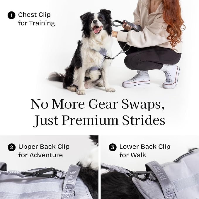 Fei & Eve Classic Dog Harness, MagEase Magnetic Buckle | 3-Point No-Pull Control, Dual Handle Support, 900D Nylon, Tactical Patch Panel, Heavy Duty, Small, Gray