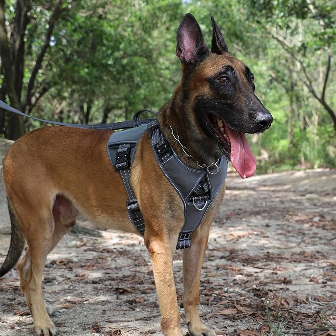 ICEFANG Quick-Moving Tactical Dog Harness for Large Dogs,No Pull Dog Vest | Control Handle,Reflective,Full Metal Buckles,Adjustable,Hook-and-Loop Panel,Soft Padded,Grey,Large