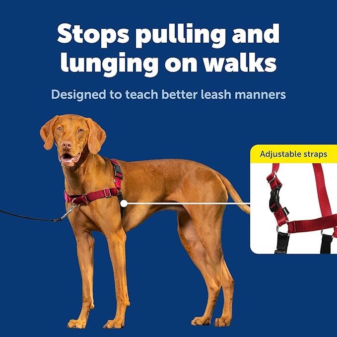 PetSafe Easy Walk Harness, No Pull Dog Harness, Deep Purple, Medium/Large | Patented Martingale Loop Gives Gradual Shoulder Pressure to Stop Pulling, Front-Chest Leash Clip Prevents Gagging