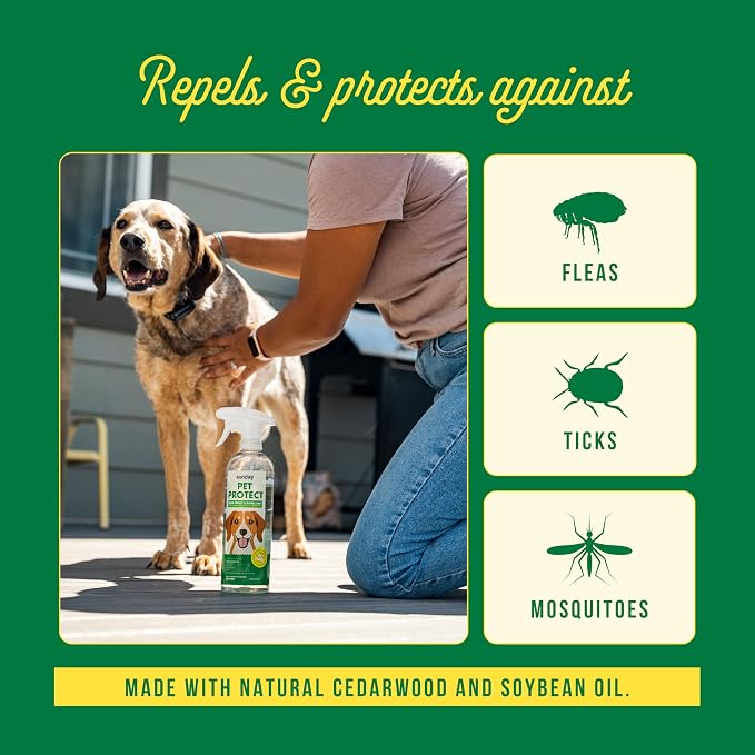 Sunday Pet Protect Flea, Tick, & Mosquito Spray Natural, Effective Bug Spray for Dogs Kills, Controls, Prevents Biting Pests with Cedarwood & Soybean Oil 24 oz