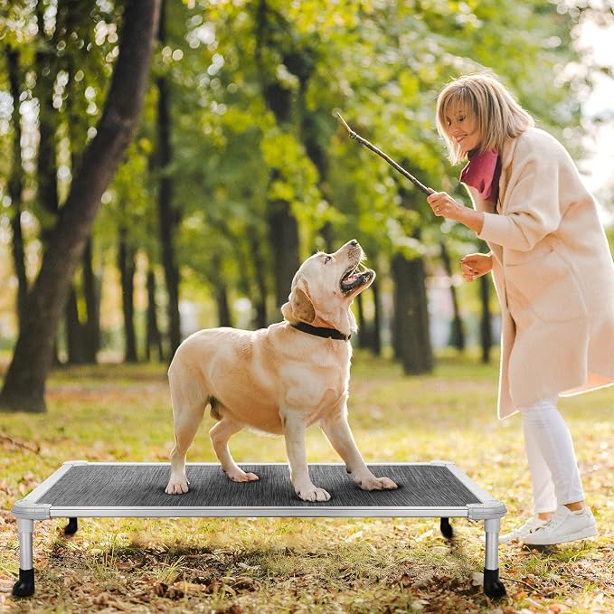 Veehoo Chew Proof Elevated Dog Bed, Cooling Raised Pet Cot, Silver Aluminum | Indestructible Dog Bed with Durable Textilene Mesh Fabric, No-Slip Feet for Indoor or Outdoor Use, 42", Large, Black Silver