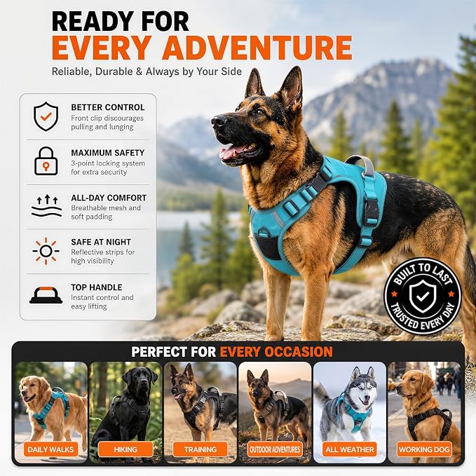 Tactical Dog Harness for Medium Dogs, Reflective No Pull Vest with Handle | 3 Point Locking Buckles, Dual Leash Clips, Handle, Reflective Strips, Hook & Loop Panel, Metal D Ring, Adjustable (Black)