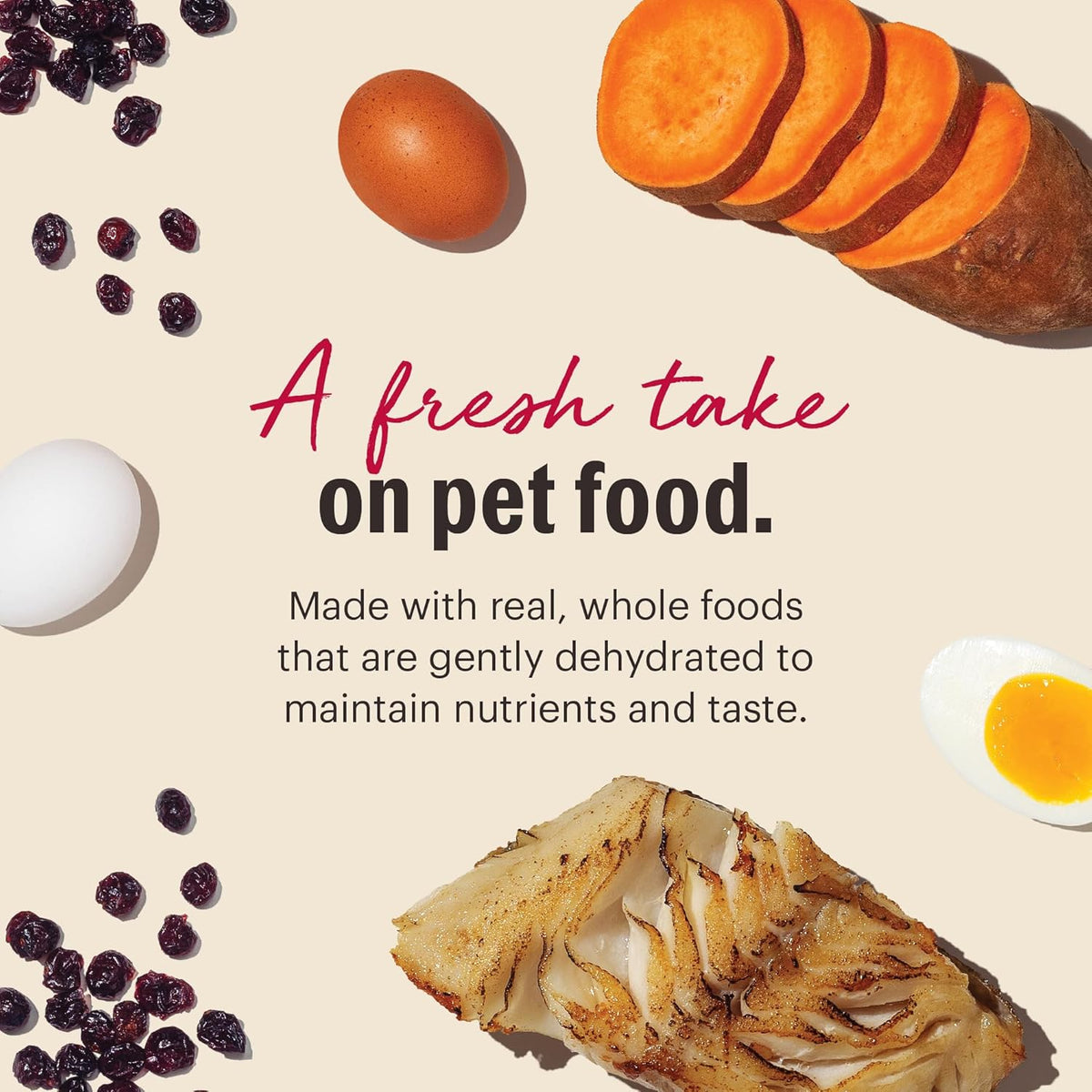The Honest Kitchen Wholemade™ Grain Free Fish Dog Food, 10 lb Box