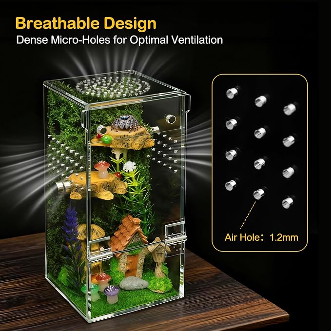 Jumping Spider Enclosure Starter Kit,Escape Proof Forest Terrarium | Praying Mantis Terrariums,Transparent Acrylic Complete Bug Habitat,All In One Arboreal Tarantula Cribs Cage,Insect Container