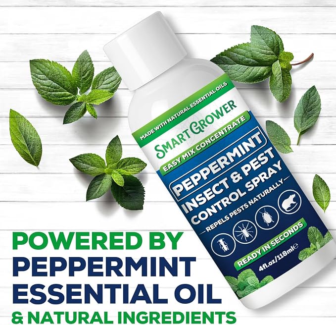 Peppermint Insect & Pest Control Best Value Concentrate - Repels Insects & Pests for Home, Indoor, Outdoor, Garden - Maximum Strength Concentrate (Makes Half Gallon RTU) 4 oz