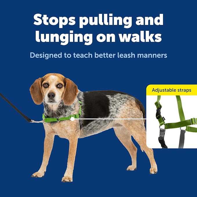 PetSafe Easy Walk Harness for Dogs - Pull-Free Walks - Patented Martingale Loop Design - Front Chest Leash Attachment - Comfort Straps - Breathable Harness Design - Small/Medium, Apple Green/Gray | Patented Martingale Loop Gives Gradual Shoulder Pressu...