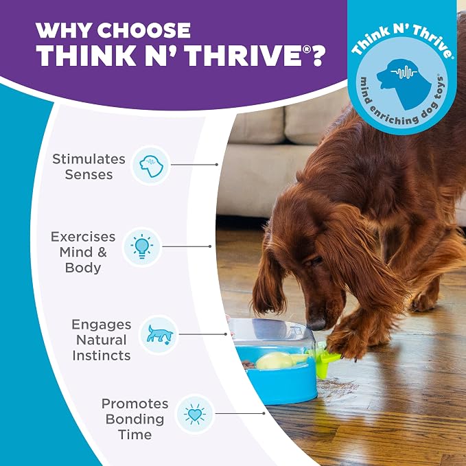Outward Hound Nina Ottosson Paw N' Play Interactive Dog Treat Puzzle, Level 2 Intermediate Dog Enrichment Dog Toy, Blue, Small