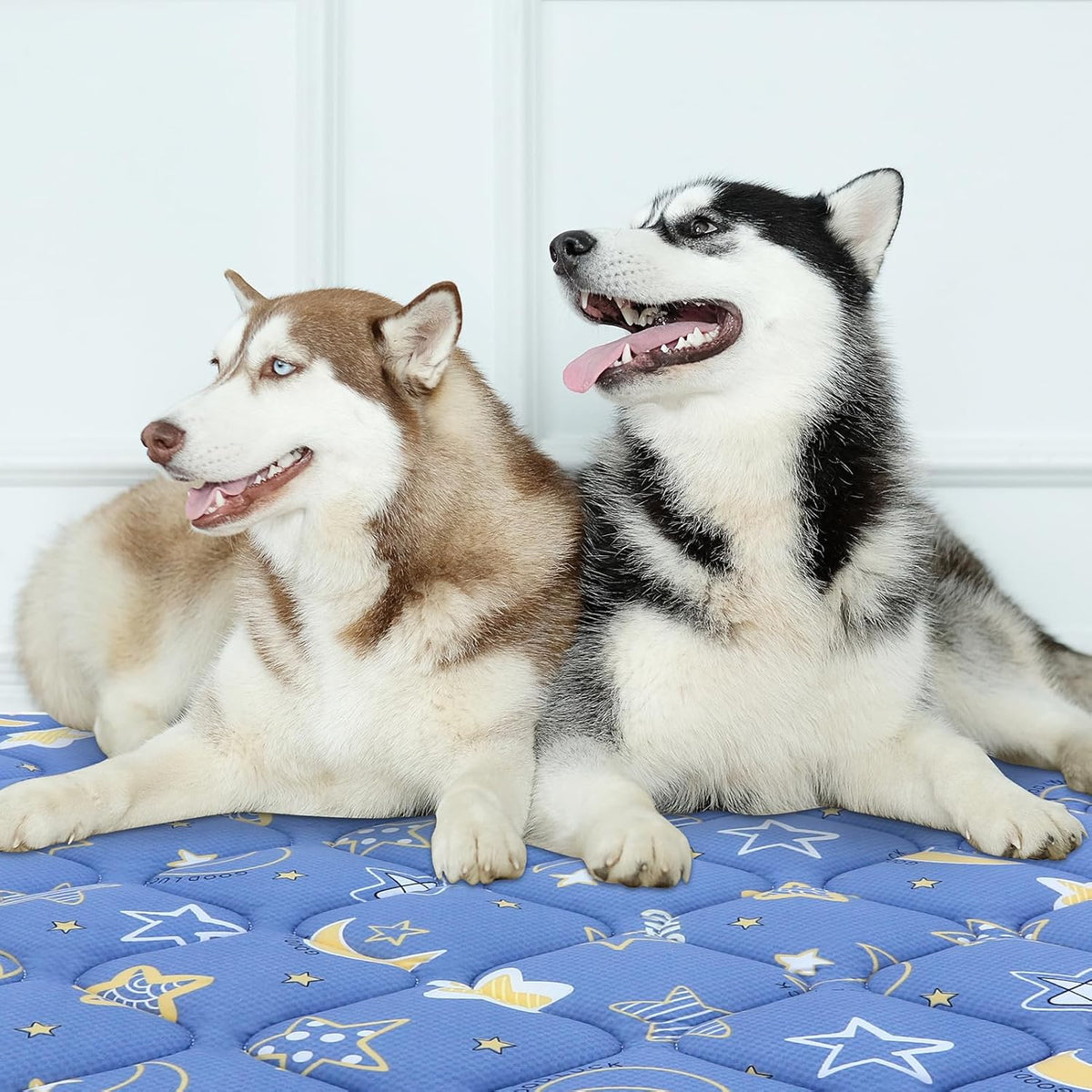 Bubble bear Dog Crate Mat - Ultra Soft, Washable & Anti-Slip Kennel Pad for Small/Medium/Large Dogs, Dark-Hued to Hide Stains (48"x30")