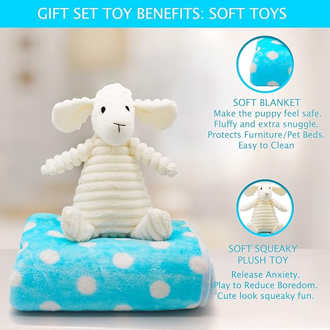 SoSoCute Blue Dog Gift Box - Puppy Chew Toy Set of 5 - Care Package with Dog Blanket, Squeaky Plush, Rubber Puppy Teether, Teething Ball, and Treat Ball for Small and Medium Dogs