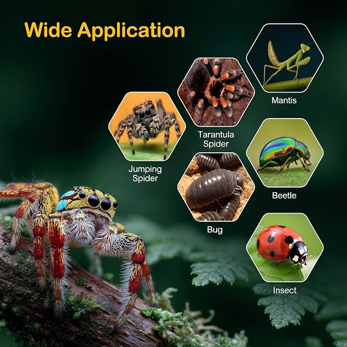 Jumping Spider Enclosure Starter Kit,Escape Proof Forest Terrarium | Praying Mantis Terrariums,Transparent Acrylic Complete Bug Habitat,All In One Arboreal Tarantula Cribs Cage,Insect Container