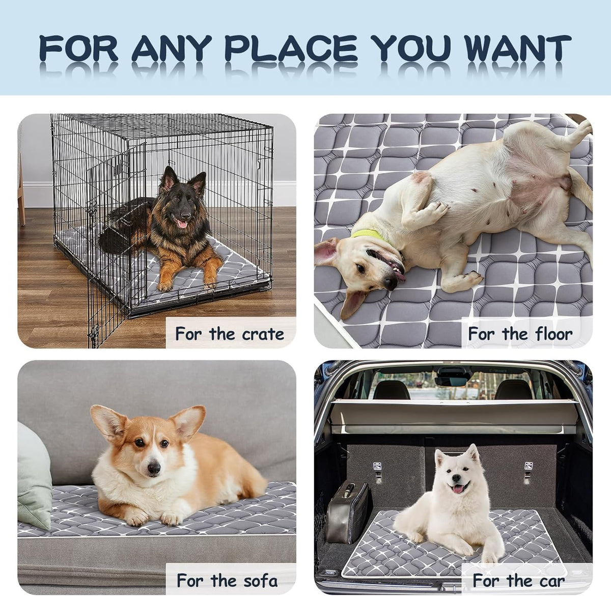 Bubble bear Dog Crate Mat - Ultra Soft, Washable & Anti-Slip Kennel Pad for Small/Medium/Large Dogs, Dark-Hued to Hide Stains (30"x19")