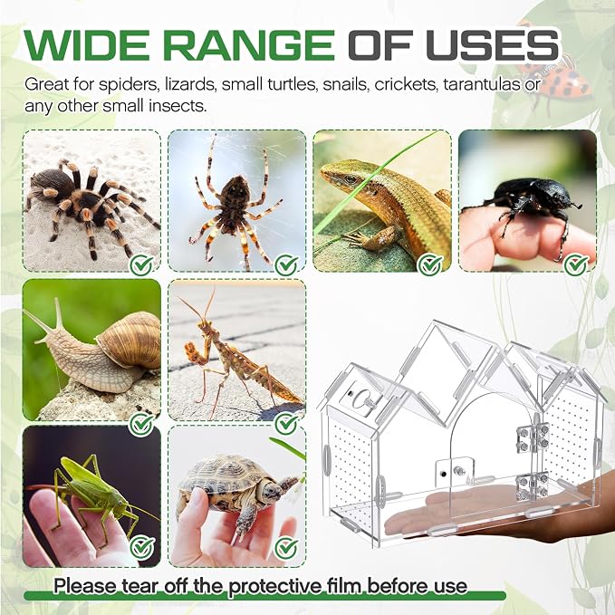 Weysat Jumping Spider Enclosure 9.5" x 3.9" x 6.7" Acrylic Tarantula Enclosure Castle Style Insect Terrarium with Magnetic Door Transparent Terrarium for Reptiles, Amphibians and Spiders