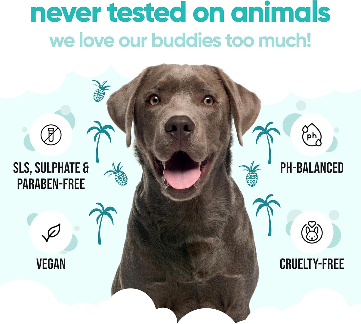 Tropical Dog Shampoo by Buddycare | Deep Cleansing Shampoo for Dogs | Tropical Scented | with Aloe Vera and Pro Vitamin B5 (169.07oz)
