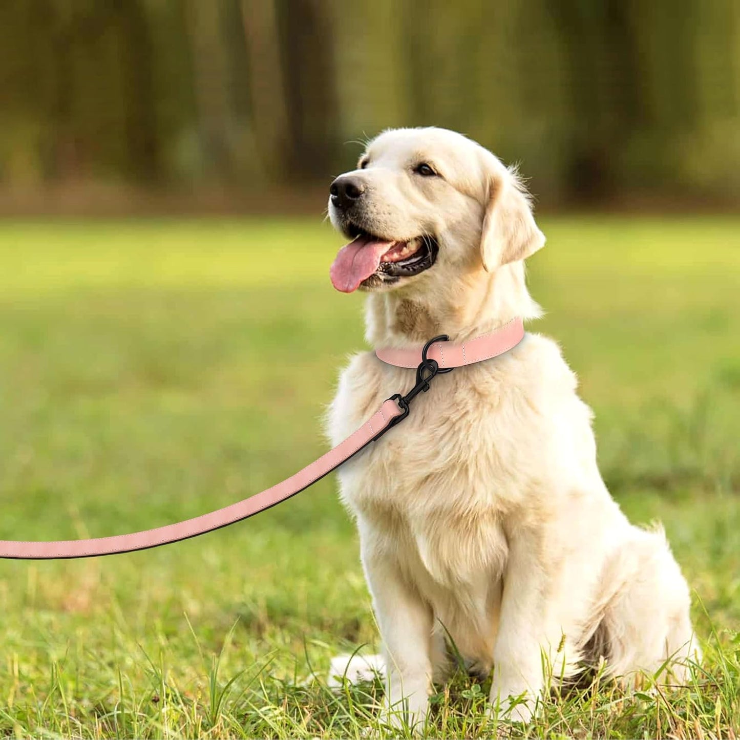 Didog Soft Padded Leather Dog Collar and Leash Set, Pink Breathable Pet Collars with 4FT PU Leather Dog Leash for Small Medium Large Dogs, Pink, XL