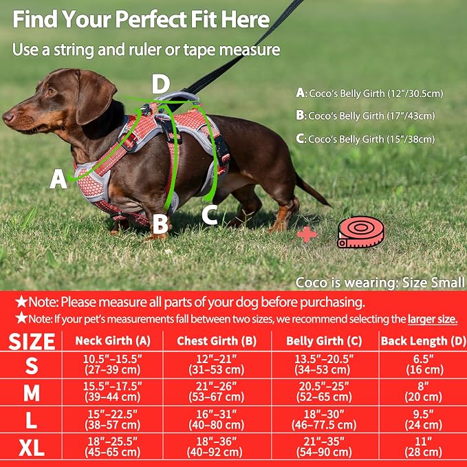 Escape Proof Dog Harness, Dachshund Harness, Reflective Dog Harness with Handle, Durable,Adjustable Vest for Small Medium Large Dogs Walking, Training, and Running Gear (Red,M)