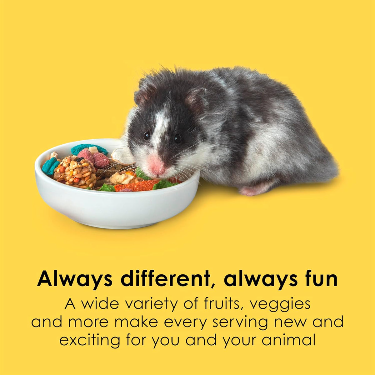 Kaytee Fiesta Hamster Gerbil, 2.5-Pound