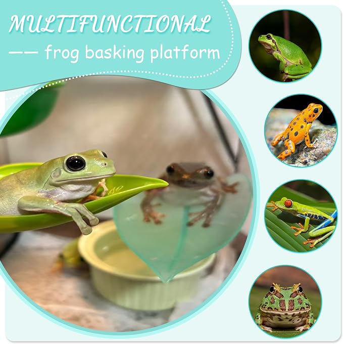 Tree Frog Terrarium Accessories, 3PCS Turtle Basking Platform | Aquarium decor with 3 suction cups, multifunctional reptile tank accessories for leopard gecko, snake, gecko, bearded dragon