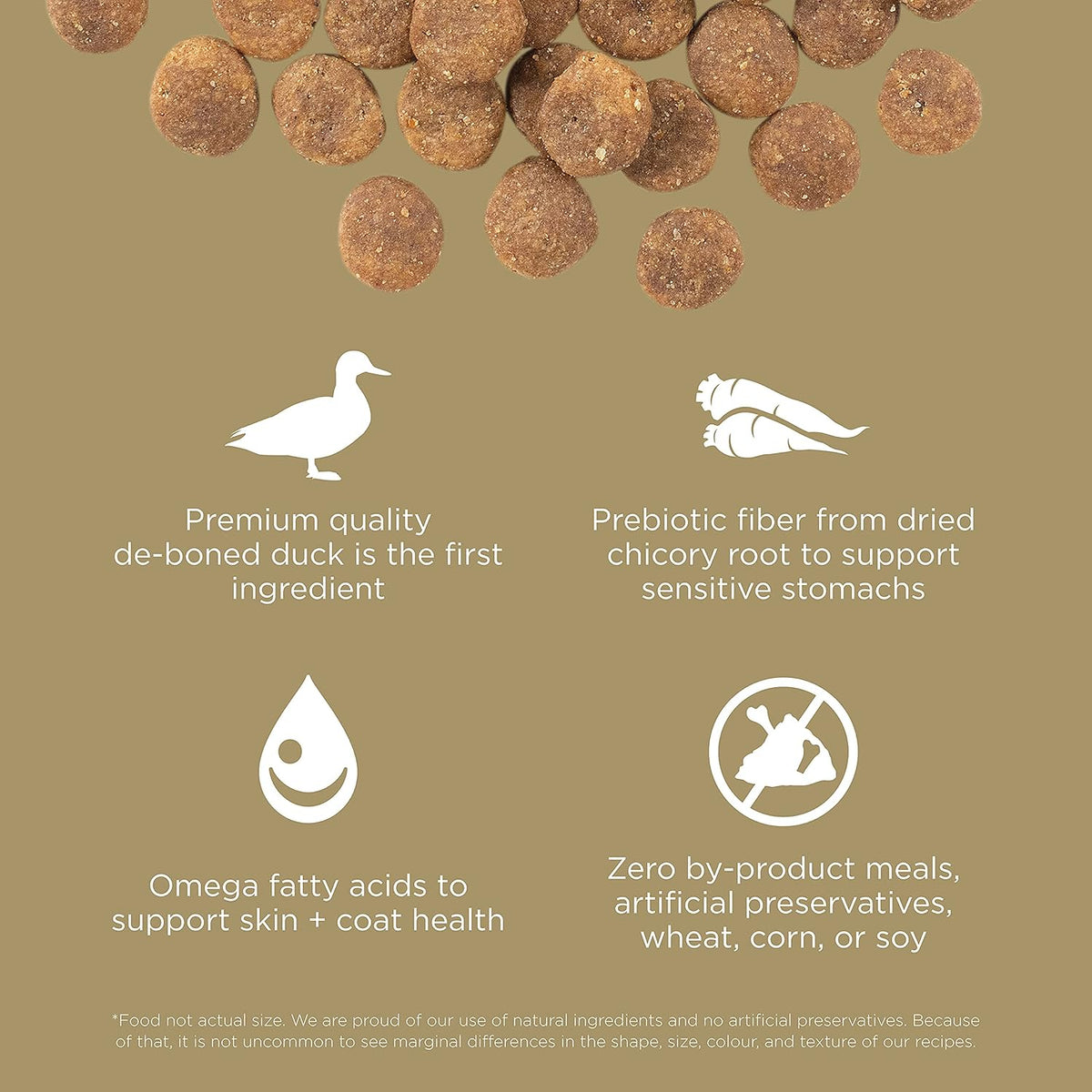 Go! Solutions Sensitivities Limited Ingredients, Grain-Free Dry Dog Food, Duck Recipe for Sensitive Stomach, 12 lb Bag