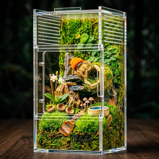 Jumping Spider Enclosure - Acrylic Terrarium Habitat for Spiders, Tarantulas, Snail, Mantis, Lizard, and Small Reptiles, Magnetic Doors (3x3x6 inch)