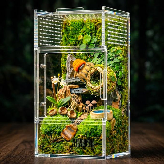 Jumping Spider Enclosure - Acrylic Terrarium Habitat for Spiders, Tarantulas, Snail, Mantis, Lizard, and Small Reptiles, Magnetic Doors (3x3x6 inch)
