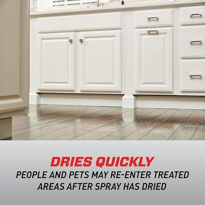 Ortho Home Defense Max Ant, Roach and Spider1 - Indoor Insect Spray, Kills Ants, Beetles, Cockroaches and Spiders (as Listed), No Fumes Bug Spray, 14 oz. (2-pack)