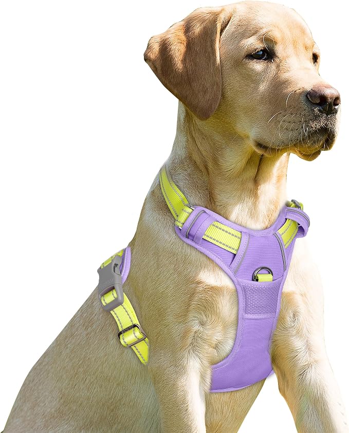 BARKBAY Dog Harness No Pull for Small Sized Dog Front Back Clips,Dog Vest | Soft Padded No Choke With Handle,Easy On&Off,Adjustable Reflective For Walking Training Running(Violet Purple & Sunlight,XS)