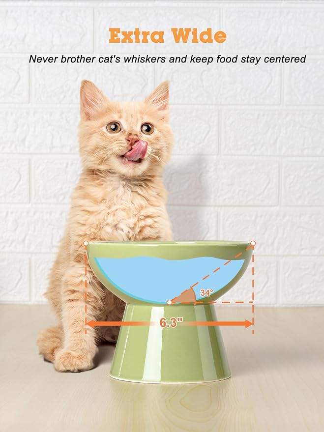 LoeJan Elevated Cat Food and Water Bowls Set, Extra Wide and Raised Ceramic Feeder, Anti-Vomit Whisker-Free Pressure Feeding Bowl for Kittens Adult Cats Small Dogs (Green, Bowl Set)