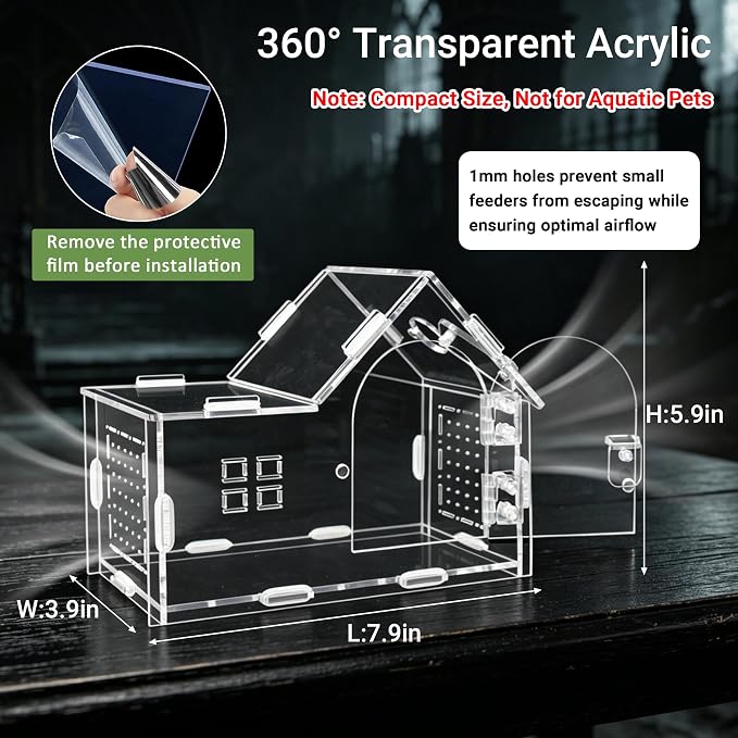 Acrylic Jumping Spider Enclosure Kit 23PCS with Decor | Gothic ornaments, plants, clear view, for mantis & tarantula