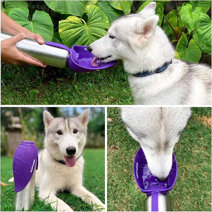 PupFlask Large Dog Water Bottle | 27 or 40 OZ Stainless Steel | Convenient Dog Drink Dispenser | Puppy Travel Water Bowl | Portable Pet Hydration Bottle | Leak Proof | Perfect Size For All Breeds