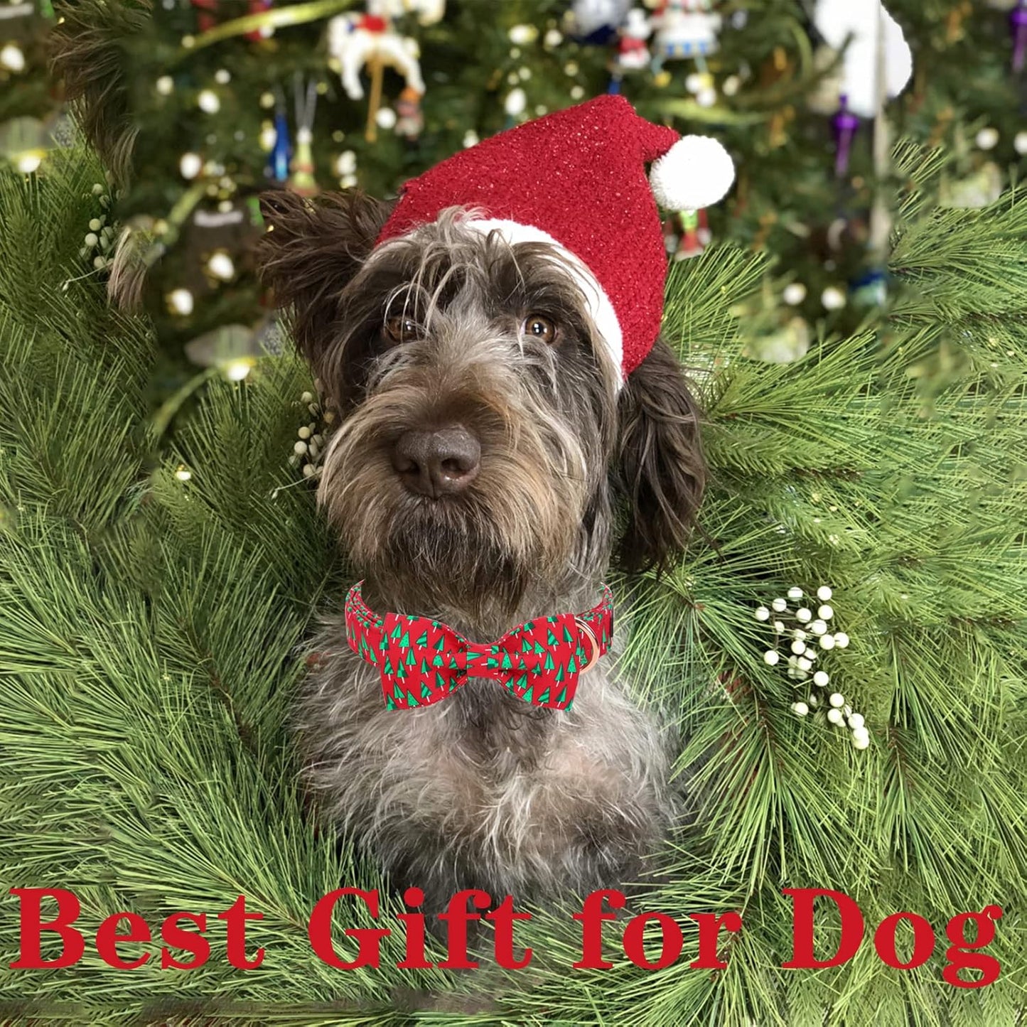 Unique style paws Christmas Dog Collar with Bow Best Winter for Small Medium Large Dogs -Christmas Tree-XS