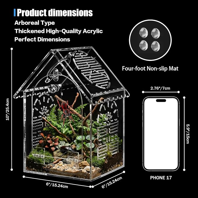 Jumping Spider Enclosure House Shape Design, Seamless Acrylic Tarantula Terrarium for Spiders and Small Reptiles, 6"x6"x10" (Large)