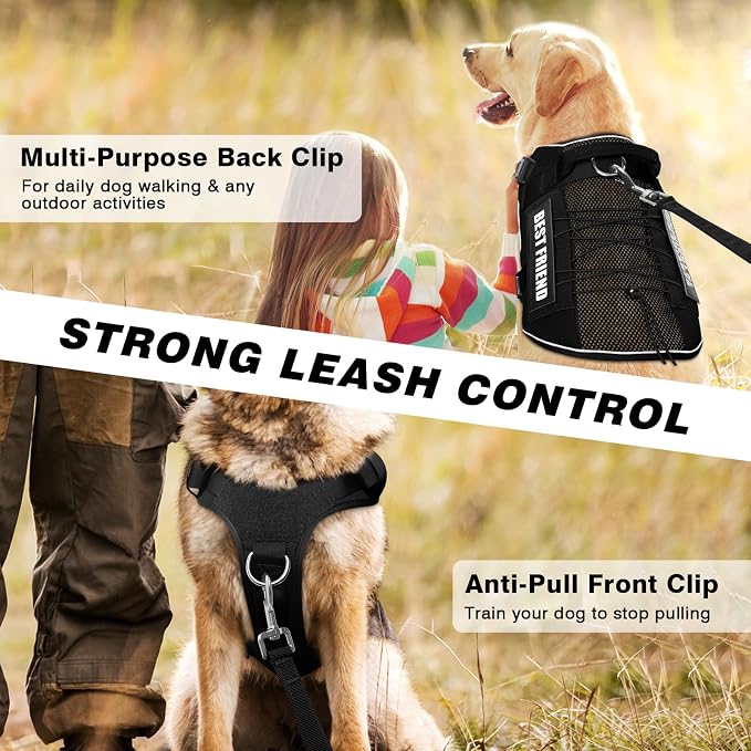 Service Dog in Training Mesh Harness with 10 Removale Pet Patches | Breathable material, adjustable straps, reflective trim, lightweight but durable, great for training, walks, and outings