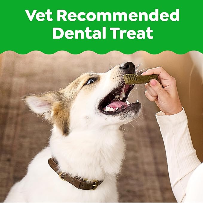 Greenies Veterinarian-Recommended Adult Natural Dental Dog Treats Petite Size, Original Flavor, 6 oz. Pack,10 Count