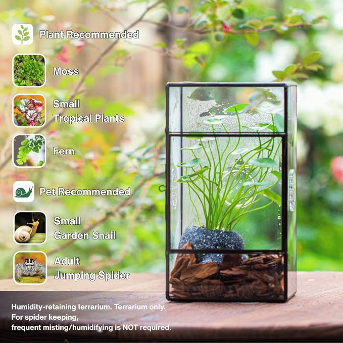 NCYP Glass Enclosure for Large Jumping Spider - 5.1" x 3.9" x 9" Front Opening Door Glass Terrarium with 3 Vent Holes, Small Snail, Insects Habitat, Black (Terrarium Only)