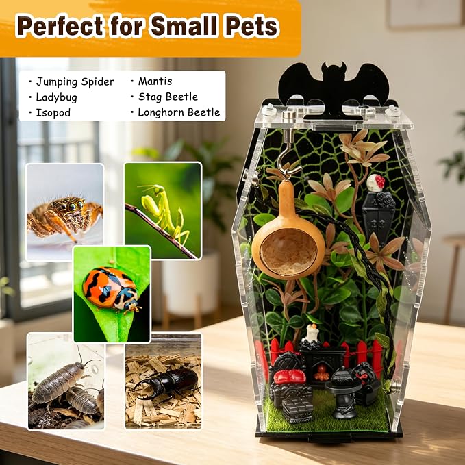 19Pcs Acrylic Spider Enclosure Kit with Magnetic Lock | Gothic Coffin Design, 3mm Acrylic, Magnetic Feeding, Mini Furniture 9Pcs, Spider Enclosure, DIY Kit