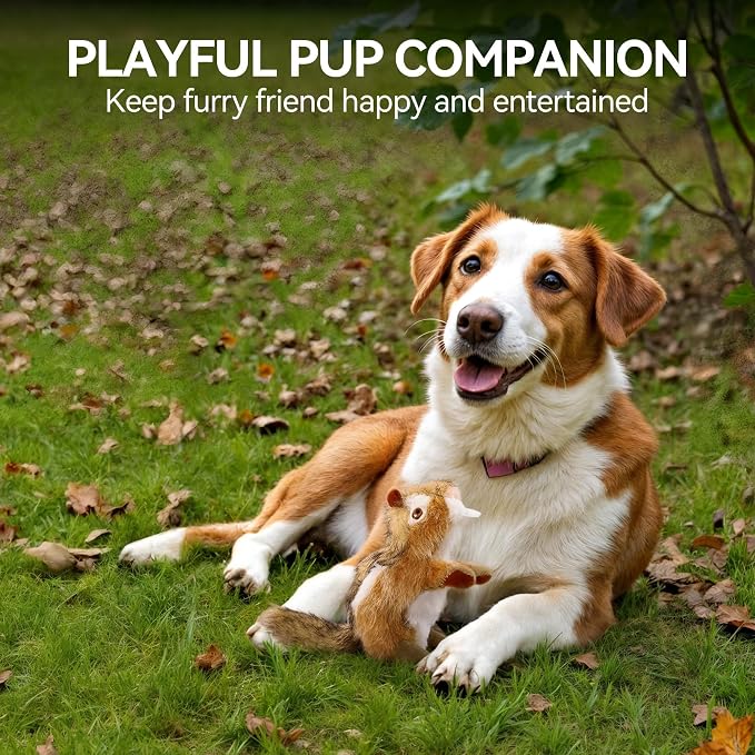 ALL FOR PAWS Chipmunk Squeaky Doy Toy, Squirrel Dog Toy for Small Medium Breed, Puppy Fetch Toy with Squeaker, Plush Chew Dog Toy, Classic-Chipmunk S