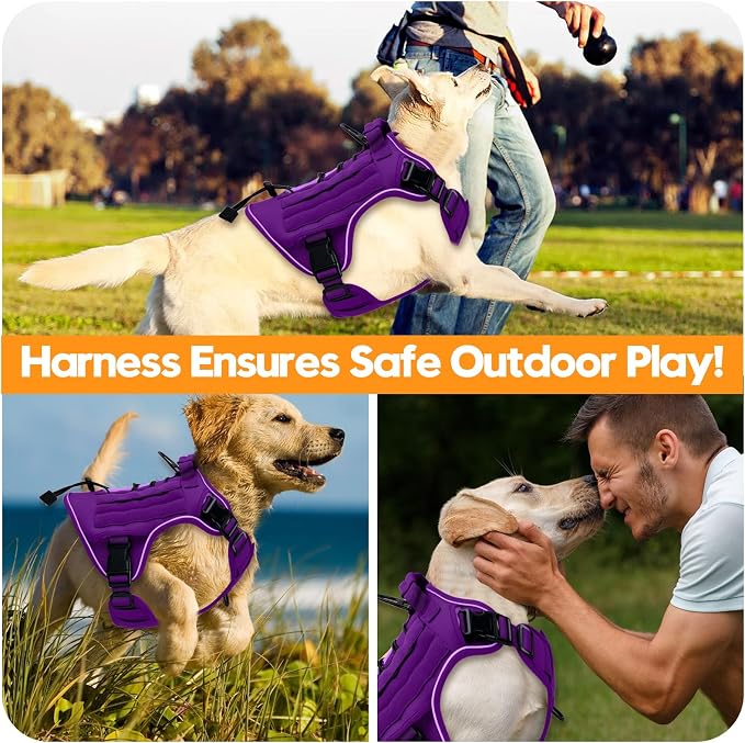 Heavy-Duty Tactical Dog Harness for Large Dogs, No Pull Adjustable Reflective Pet Vest with Molle System, K9 Military-Grade Control for Service Training, Outdoor & 10+ Breeds, Purple, Large