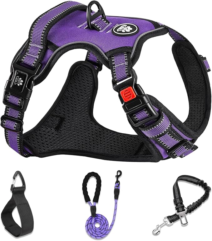 NESTROAD No Pull Dog Harness,Adjustable Oxford Dog Vest Harness with Leash,Reflective No-Choke Pet Harness with Easy Control Soft Handle for Small Medium Dogs(Medium,Purple)