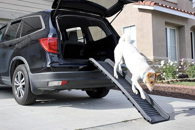 PawStep 61" Folding Pet Ramp, Portable Dog Ramp for Cars, SUVs, Beds & Couches, Lightweight PP Construction, Textured Surface, Optional Carpet for Added Traction, 165 lb Capacity (50524)