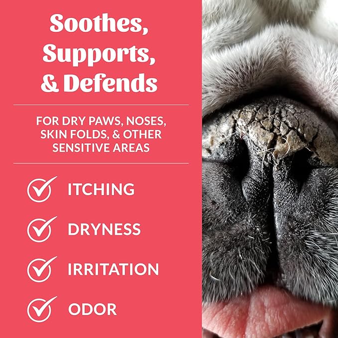SKOUT'S HONOR Prebiotic Pet Balm - 100% Natural and Made w/Manuka Honey to Promote Healing of Your pet's paw Pads and Nose, Soothes Dry, Itchy Paws and Noses - Safe for Cats and Dogs, 2oz, 4-Pack