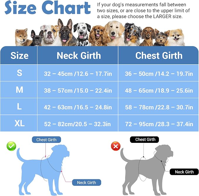 Dog Harness No Pull, Adjustable Pet Vest Harness, Super Soft Material with Vertical Handle Easy Control, Reflective Night Walking, 2 Leash Clips for Medium Sized Dogs, Mosaic Blue, M