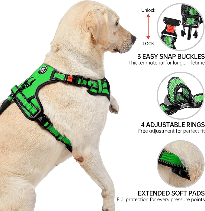 NESTROAD No Pull Dog Harness,Adjustable Oxford Dog Vest Harness with Leash,Reflective No-Choke Pet Harness with Easy Control Soft Handle for Large Dogs(Large,FluorescentGreen)