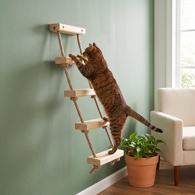 with Shelves for Climbing and Play, Cat House