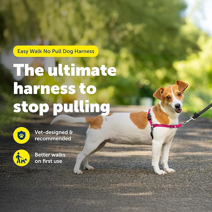 PetSafe Easy Walk Harness, No Pull Dog Harness, Red, Small | Patented Martingale Loop Gives Gradual Shoulder Pressure to Stop Pulling, Front-Chest Leash Clip Prevents Gagging