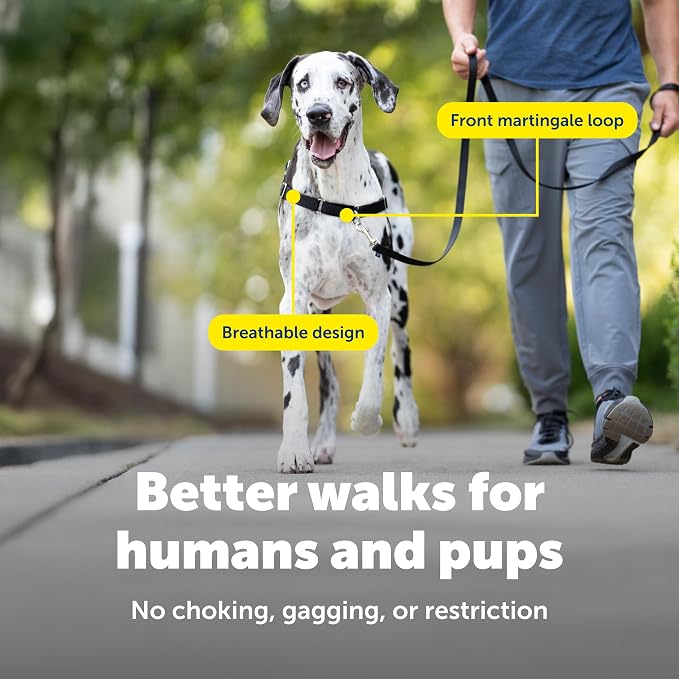 PetSafe Easy Walk Harness, No Pull Dog Harness, Black, Extra Large | Patented Martingale Loop Gives Gradual Shoulder Pressure to Stop Pulling, Front-Chest Leash Clip Prevents Gagging