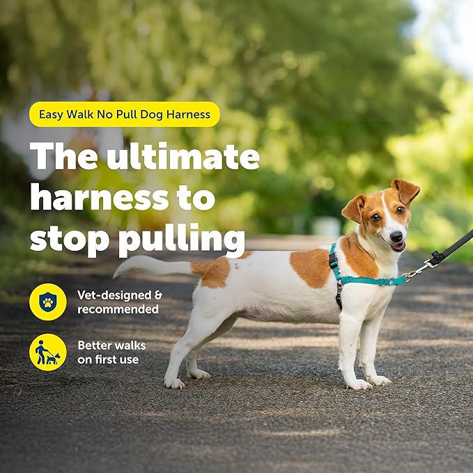 PetSafe Easy Walk Harness, No Pull Dog Harness, Small, Teal | Patented Martingale Loop Gives Gradual Shoulder Pressure to Stop Pulling, Front-Chest Leash Clip Prevents Gagging