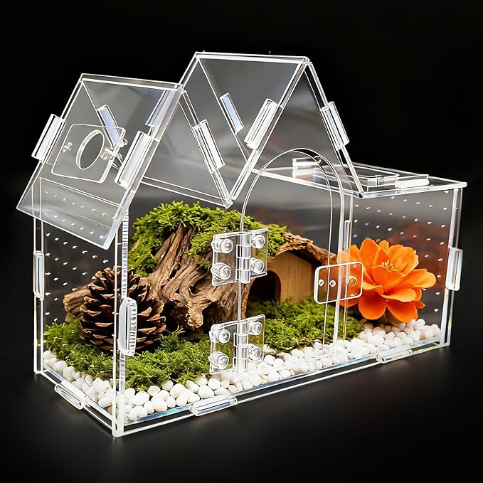 Jumping Spider Enclosure, 9.5" x 3.9" x 6.7" Acrylic with Magnetic Door Transparent Enclosure for Reptile Tarantula Jumping Spider Gecko Amphibians Chameleon