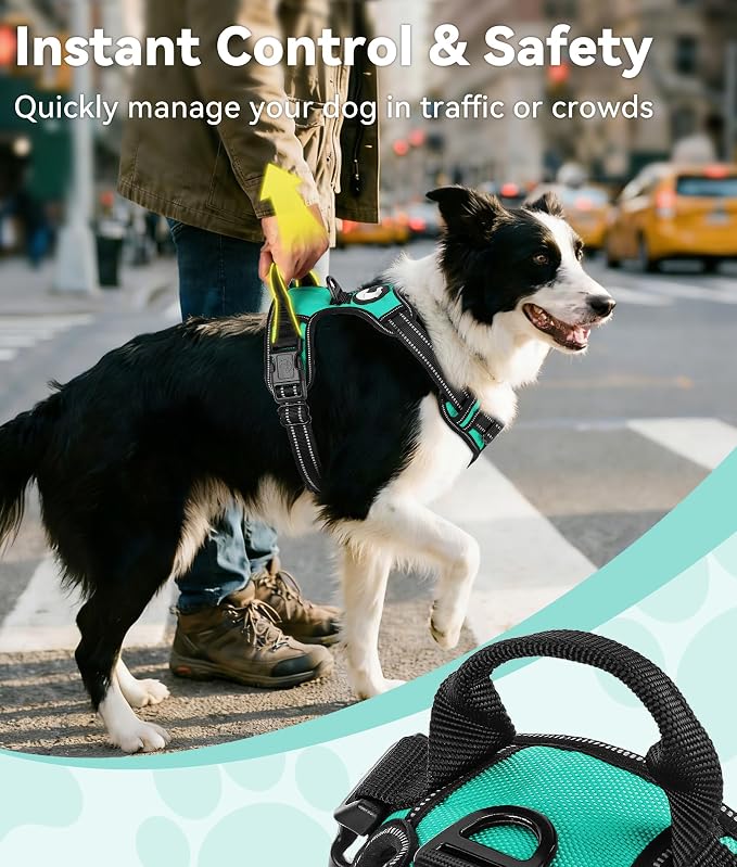 Joytale No Pull Dog Harness Medium Sized Dog, Front Clip, Teal | Grab Handle for Instant Control, Padded & Adjustable Vest, Sturdy Metal D-Rings, for Safe Training & Daily Walking