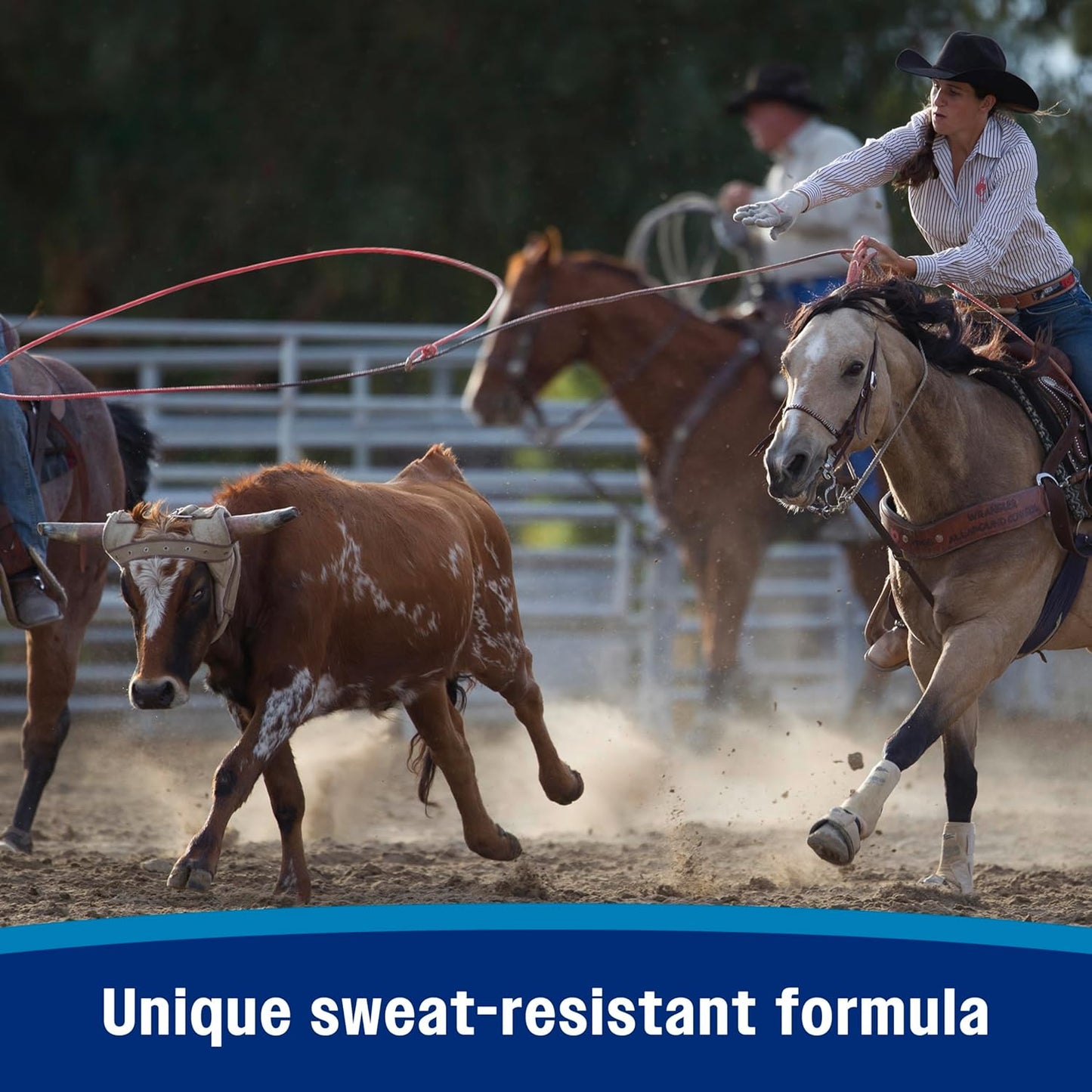 Farnam Endure Sweat-Resistant Fly Spray for Horses, Protects Against Lyme Disease, 15 oz